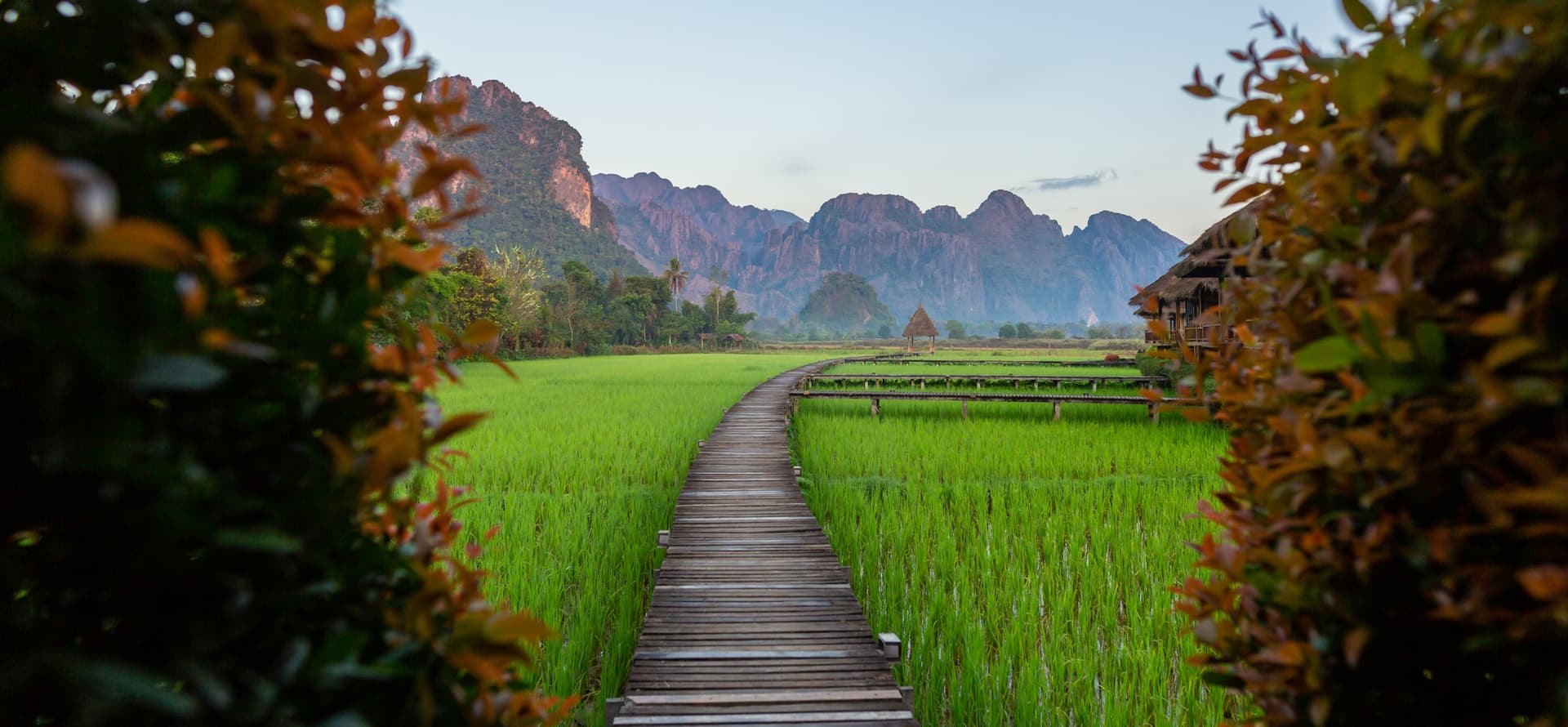 Abbiamo identificato il «paziente zero», la testimonianza di Laurent Granier, direttore dell'agenzia Laos Travel Mood