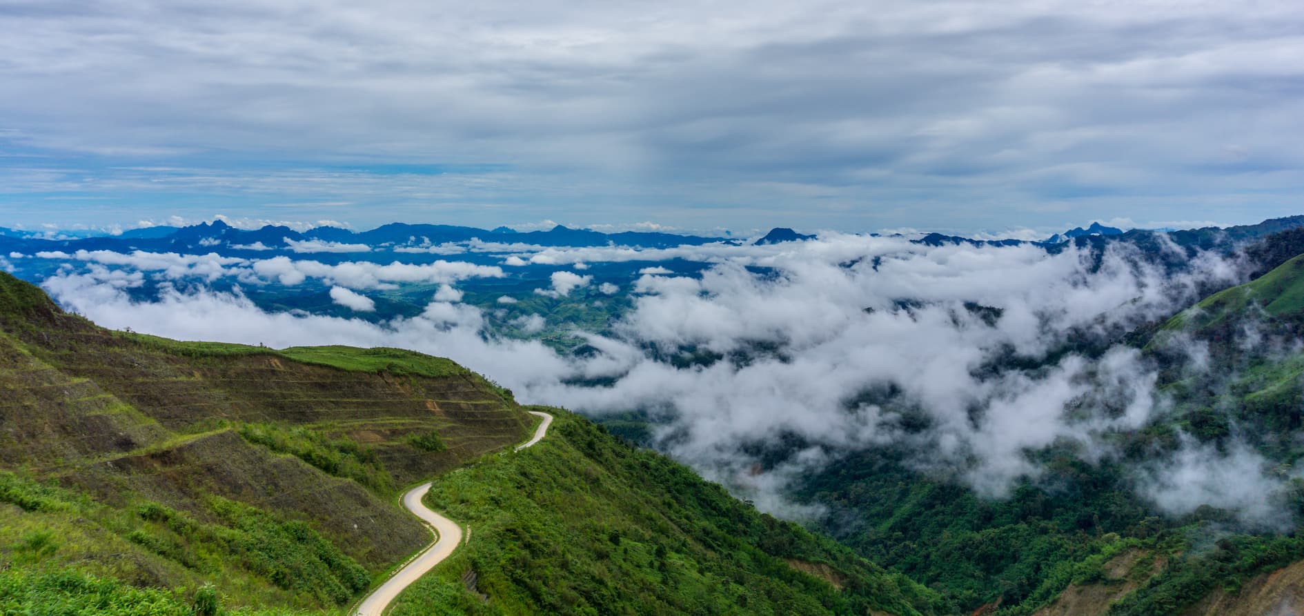 Il Laos, terra di 24 nuove specie naturali